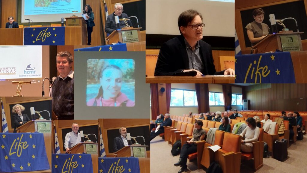 Kick-off Meeting (Jan 30th, 2026)